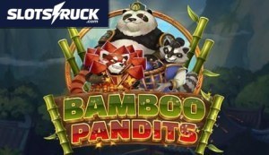 Bamboo Pandits