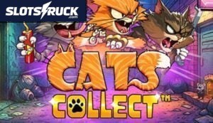 Cats Collect
