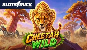 Cheetah Wild