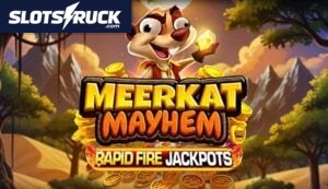 Meerkat Mayhem